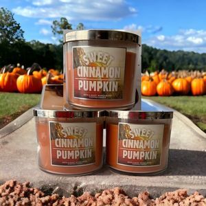 3x Bath & Body Works Sweet Cinnamon Pumpkin Rare Discontinued  HTF 3 Wick Candle